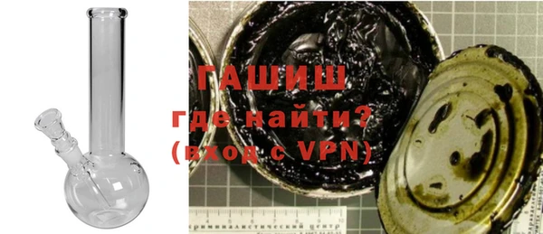 хмурый Пересвет