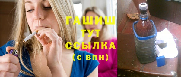 хмурый Пересвет