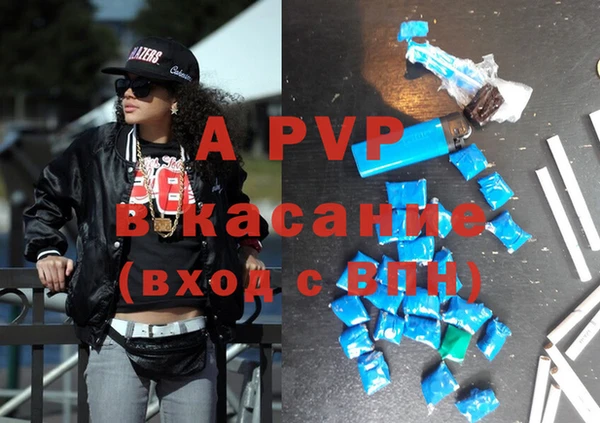 хмурый Пересвет