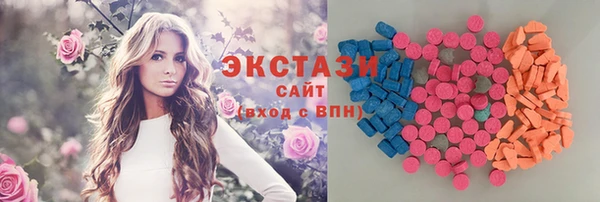 хмурый Пересвет