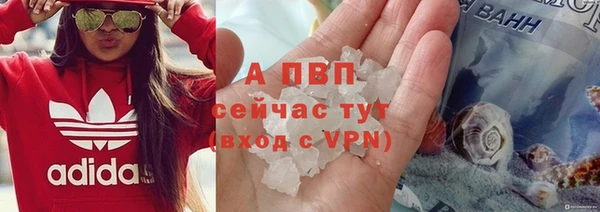 амф Пестово
