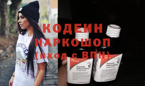 амф Пестово