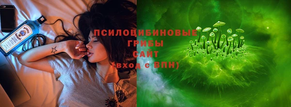 амф Пестово