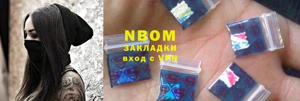 хмурый Пересвет