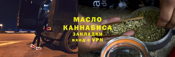 хмурый Пересвет