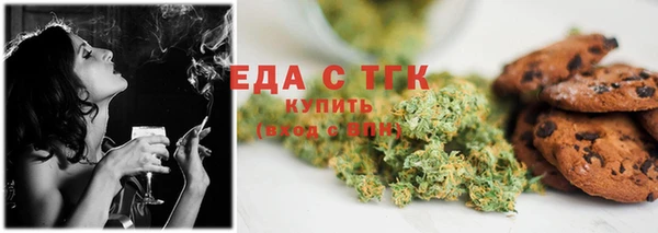 хмурый Пересвет