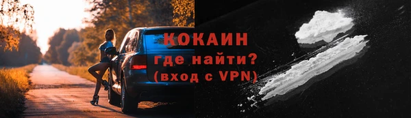 амф Пестово