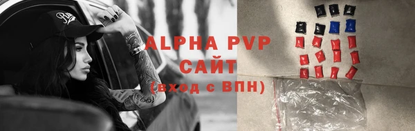 амф Пестово