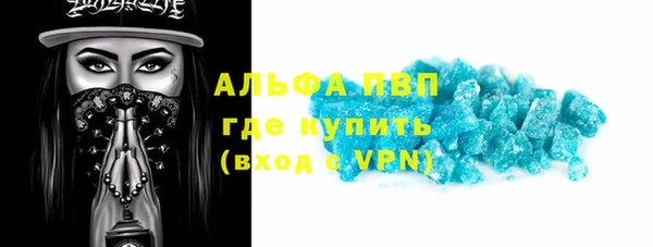 хмурый Пересвет