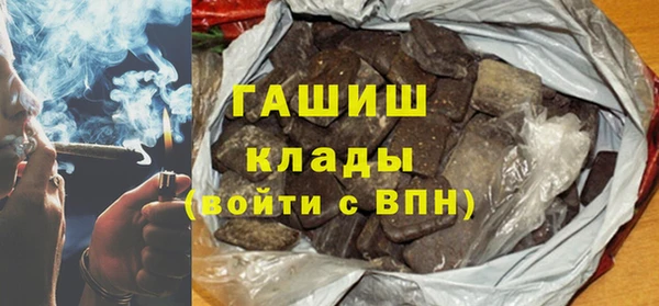 хмурый Пересвет