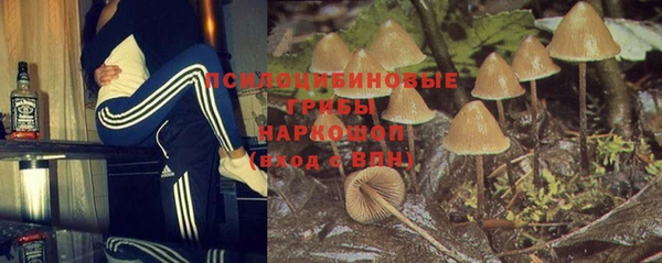 хмурый Пересвет