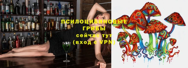 хмурый Пересвет