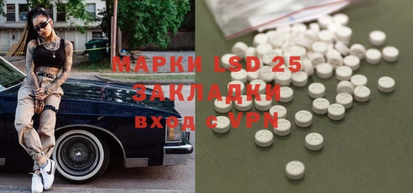 хмурый Пересвет