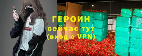 хмурый Пересвет