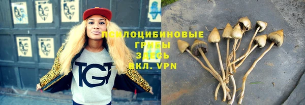 амф Пестово