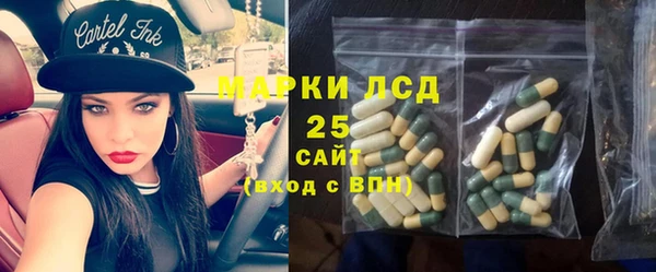 амф Пестово