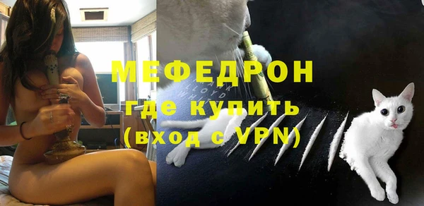 хмурый Пересвет