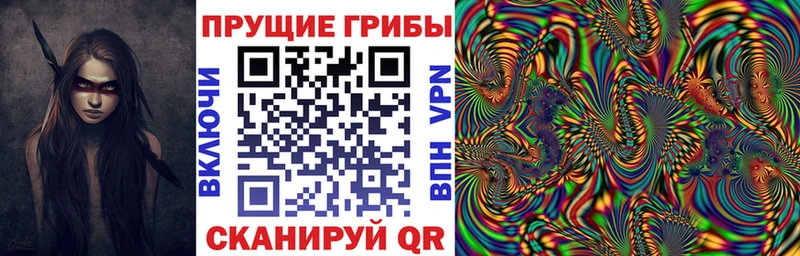Галлюциногенные грибы ЛСД  где продают   Темрюк 
