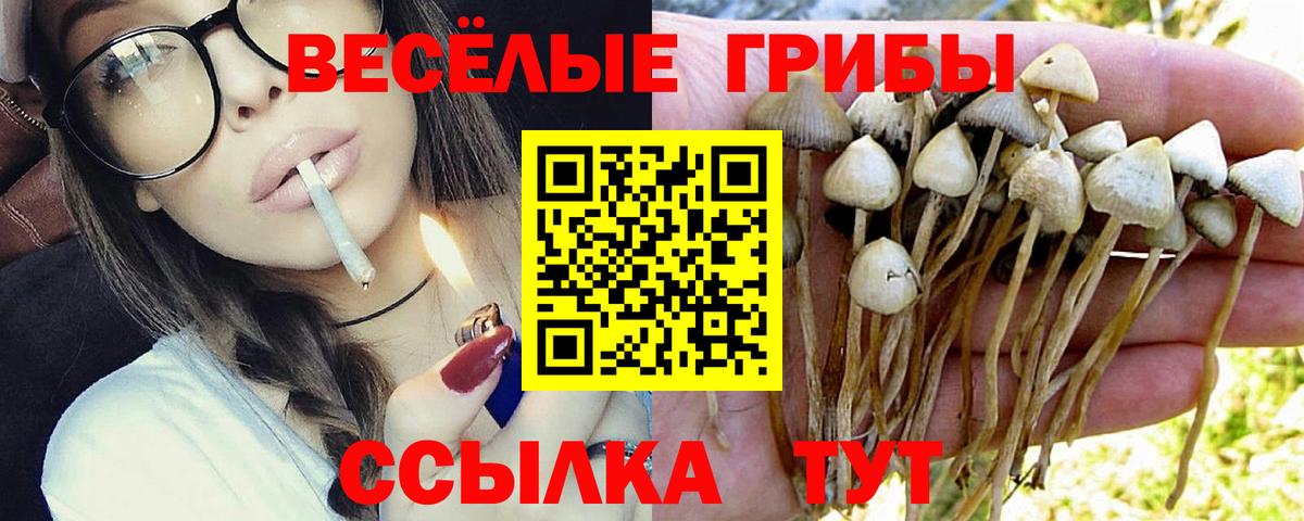 Галлюциногенные грибы Magic Shrooms  Вход с VPN  Темрюк 